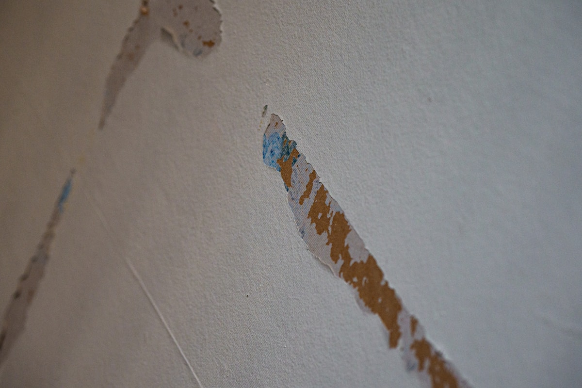 Mold Remediation service in Birmingham, AL